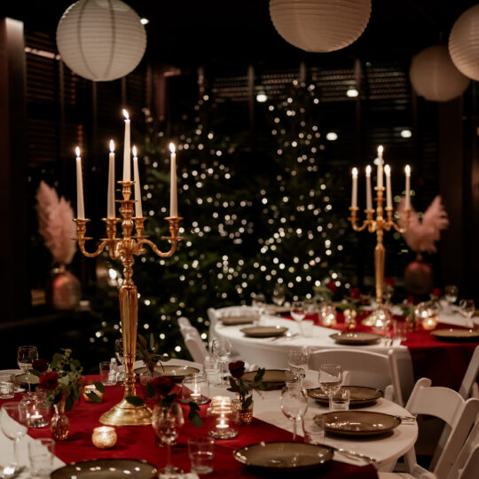 https://amsterdamseweddingplanner.nl/wp-content/uploads/2025/04/winterbruiloft-sfeer1-540x540.jpg